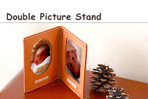 Double Picture Frames