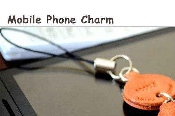 Phone charms